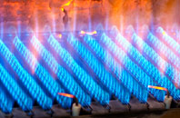 Bardney gas fired boilers